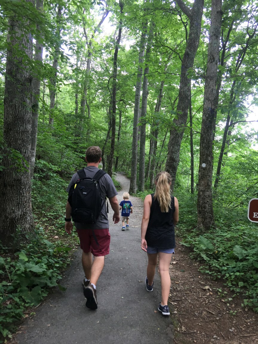 A Walk in the&nbsp;Woods